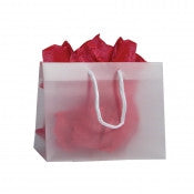 Frosted Plastic Jewelry Gift Bags
