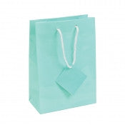 Glossy Jewelry Gift Bags
